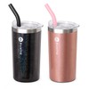 Bluwing 12 oz Water Tumbler with Straw Double Wall Insulated