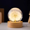 DESHINTKE Dandelion Glowing Crystal Ball Eternal Flower Paperweight