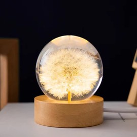 DESHINTKE Dandelion Glowing Crystal Ball Eternal Flower Paperweight