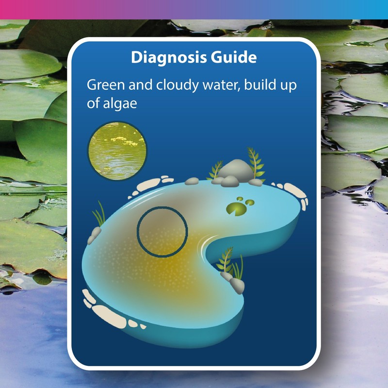 NT Labs Pond Magiclear, Clears Green and Cloudy Water, Control