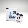 Integra Boost 62%,10 x 8g Humidity Regulator Pack, Pack of