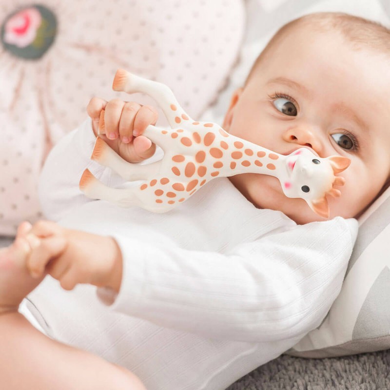Sophie La Girafe, 1 Item