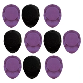 Imanes Mx Kit Imanes Biomagnetismo 10pz / Dr Goiz / Biomagnetismo
