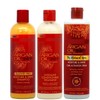Argan Oil from Morocco Sulfate Free Moisture & Shine Shampoo,