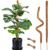 2 Pack Moss Pole, 28 Inch Bendable Moss Pole for Plants Monstera, Moss Poles for Climbing Plants Indoor, Coir Plant Pole Sticks Support Stakes for Potted Plants, Pothos, Philodendron