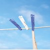 Whitmor Plastic Clothespins Set of 50, S/50, White and Blue