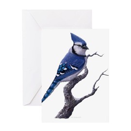 CafePress Blue Jay Bird Greeting Cards Folded Greeting Card Glossy