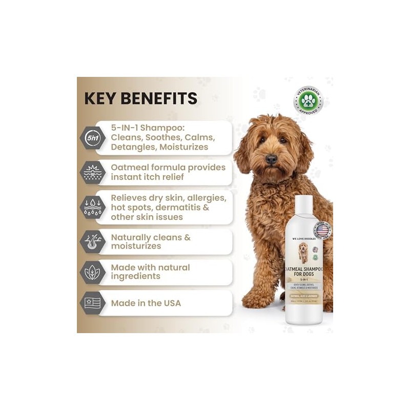 We Love Doodles- Champú de Avena Premium 5 en 1