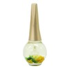 Belinda Cuticle Oil 12ml (x1) Jasmine Scent, Delicious Mood