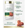 Carlyle Hongo Reishi 5000 Mg Con 300 Capsulas Hecho En