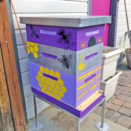 Hosomono Bee Honeycomb Stencil, Reusable Bee Stencils for Painting on Wood Signs Furni...