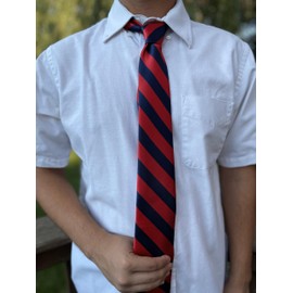 tiemart Striped Tie (Red and Navy)