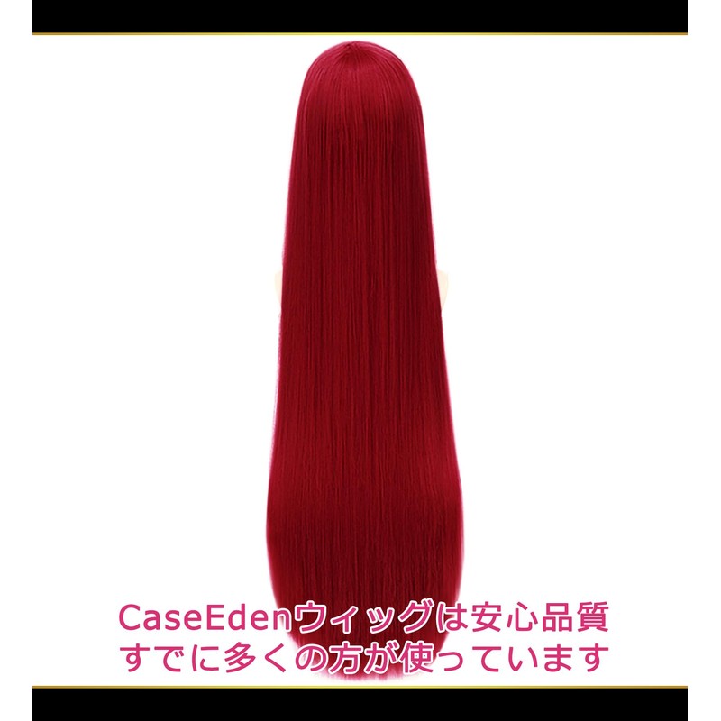 CaseEden 6126 Premium Cosplay Wig, Smooth, Long Hair, 39.4 inches