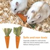 20pcs Carrot Shaped Hamster Toy Teeth Grinding Decorative Crude Fiber