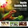 Zenhagu 250W R40 Red Heat Lamp Bulbs (4-Pack), Infrared Heat