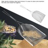 Reptile Sand Shovel Scooper Stainless Steel Fine Durable Litter Corner