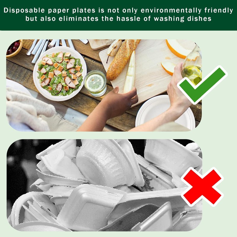 Disposable Paper Plates 9 Inch Compostable Plates 50 Pack Biodegradable