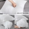 Oubonun 24 x 24 Throw Pillow Inserts, Firm and Fluffy