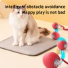 XYszpcgs Interactive Cat Toys Ball for Indoor Cats Fast Rolling