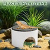 Swirge Basking Platform for Bearded Dragons, Bearded Dragon Hideout, Reptile
