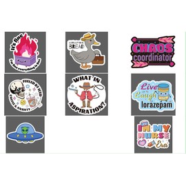 8 Pcs Funny Nurse Retractable Badge Reel Accessories Bulk Nursing Healthcare Medical Cute Fun Badge Holder Dumpster Fire Silly Goose Xray Alien Doctor Social Worker Badge Clip RN CNA ID Card Gifts