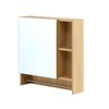 Benicabaly Optimize Space with Wall-Mounted Bathroom Mirror Cabinet, 2-in-1 Storage