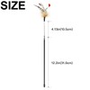 TTcat Cat Wand Toys, Flexible Spring and 4PCS Cat Feather