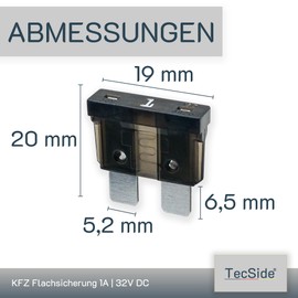 Tecside 1A Car Fuses | 12V 24V 32V | Pack of 10 | Plug Fuses for Power Theft & Fuse Holder | 19 mm Blade Fuses for Car, Boat, Motorcycle, RV & Scooter | Replacement Fuses