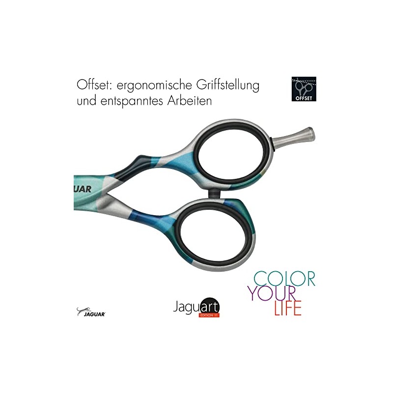 JAGUAR JaguART IN MOTION 5.5 Inch Hairdressing Scissors Offset Design