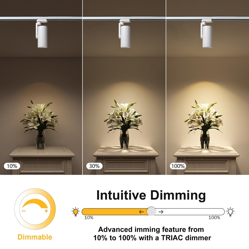 Opulux LED 12W Dimmable Track Lighting Heads with 10° to