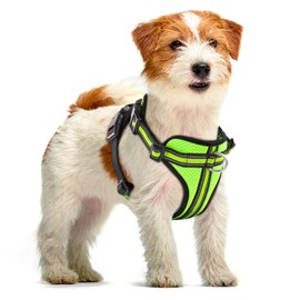 Wisedog Ajustable Mesh Breathable Dog Harness - Reflective Webbing, Lightweight No Pull Harness with 3 Fast-Release Buckles for Dogs Walking, Running and Outdoor Adventures, Yellow XS