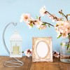 3PCS Ornament Display Stand,Glass Globe Silver Iron Wire Stand Hanging