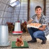 Kalekey 6 Pack Nesting Pads for Chicken Coop, 12"x12" Chicken
