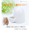 LuceLuce Hamster, Water Supply, Small Animals, Water Container, Pet, Water