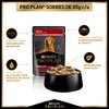 Purina Pro Plan Adulto Carne 24x85g