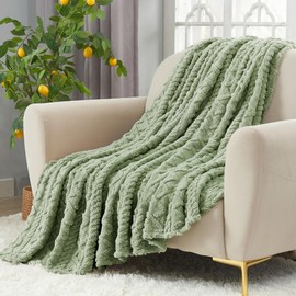 Aganear Fleece Twin Blanket - 3D Stylish Design, Lightweight Blanket Super Soft, Warm, Decorative Present for All Seasons, Portable Throw Blankets for Couch, Sofa, Bed, Car(60"×80", Sage Green)