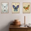 LAPUZK 4 Pieces Gemstone Design Butterfly Art Prints- Inspirational Natural