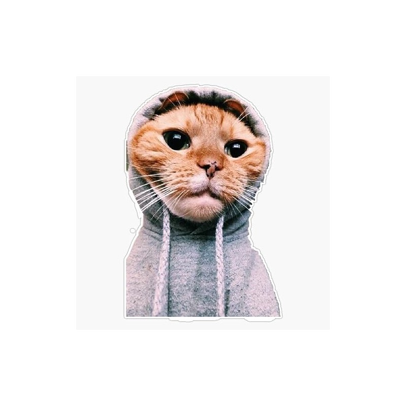 Cat Bumper Sticker Vinyl Decal 5"