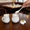 Ceramic Sugar and Creamer Set, 3-Piece Porcelain Serving Set with
