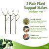 Twigs GA - Stackable Plant Support Stakes, Indoor & Outdoor
