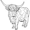 'Highland Cow' Rubber Stamp - Unmounted Design for Crafting &