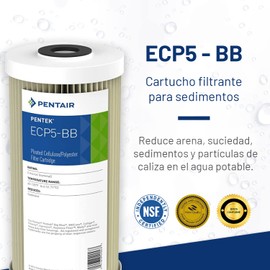 Pentair Pentek ECP5-BB Big Blue Sediment Water Filter, 10-Inch, Whole House Heavy Duty Pleated Cellulose Polyester Replacement Cartridge, 10" x 4.5", White End-Cap, 5 Micron