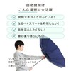 Folding Umbrella, Lightweight, Men's, Women's, For Both Sunny and Rainy