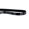 MAXWIN 2PCS Serpentine Belt fit 1993-2001 for Honda Prelude 2.2L