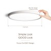 TALOYA Flush Mount 12 Inch Ceiling Light (Milk White Shell),