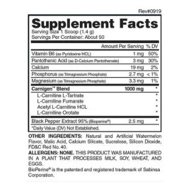 Evogen Carnigen Recovery Energy 50 Servicios Sabor Watermelon                                                                                         
