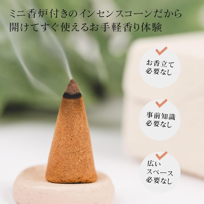 DANNY LIB Frankincense Incense Cones Incense Holder Set of 25