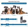 QLIFE Dog Shock Collar with Remote: Dog Shock Training Collar