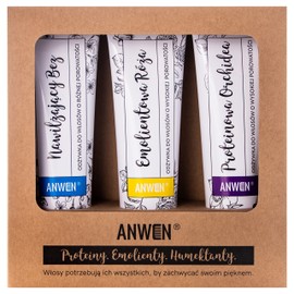 Anwen Zestaw 3 Odóywek Do Porowatoşci Wysokiej, 3 x 100 ml