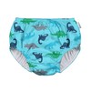 green sprouts baby boys Reusable and Toddler Swim Diaper, Aqua